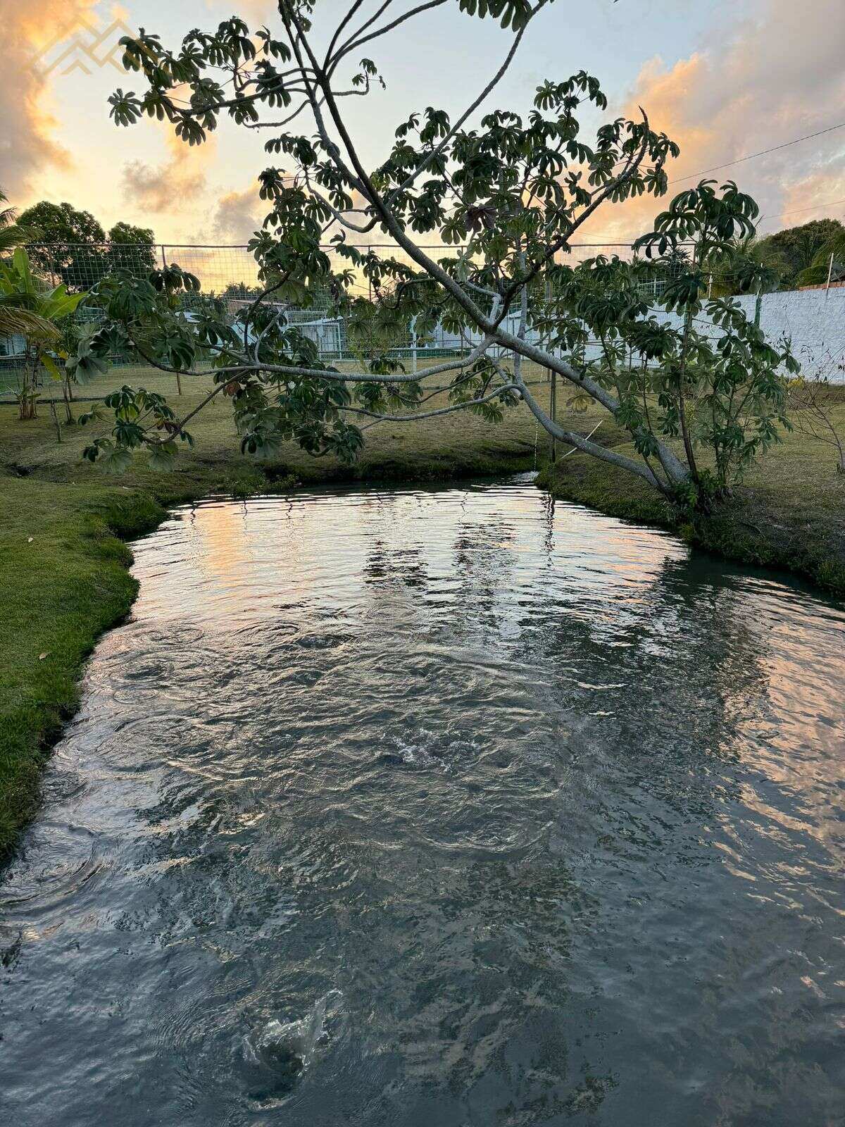 Sítio à venda em Entre Rios, Porto de Sauípe, com 5 quartos, 40000m² - Henrique Aquino  IMÓVEIS DE QUALIDADE LTDA CRECI PJ 2675